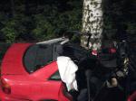 Toedlicher Verkehrsunfall Noesswartling - alle Muehe vergebens